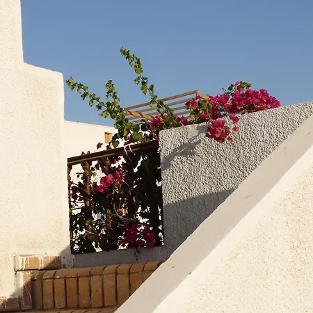Amfiba Dahab Hotel
